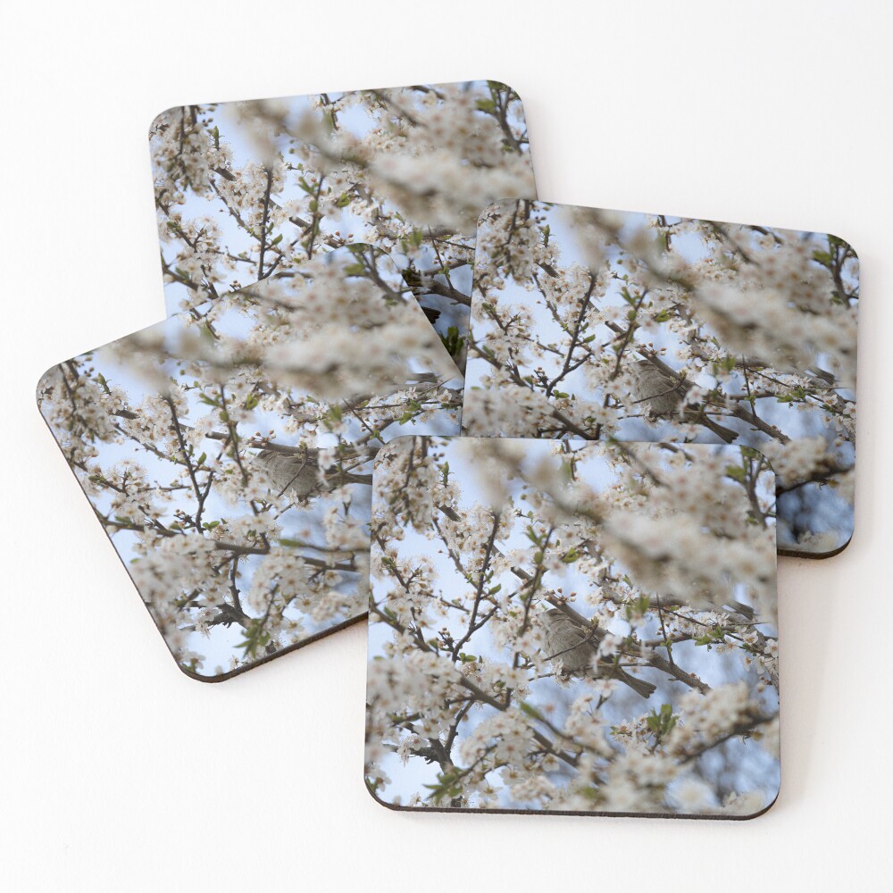 Item preview, Coasters (Set of 4) designed and sold by Srdjanfox.