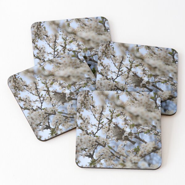 Item preview, Spring designed and sold by Srdjan Petrovic.