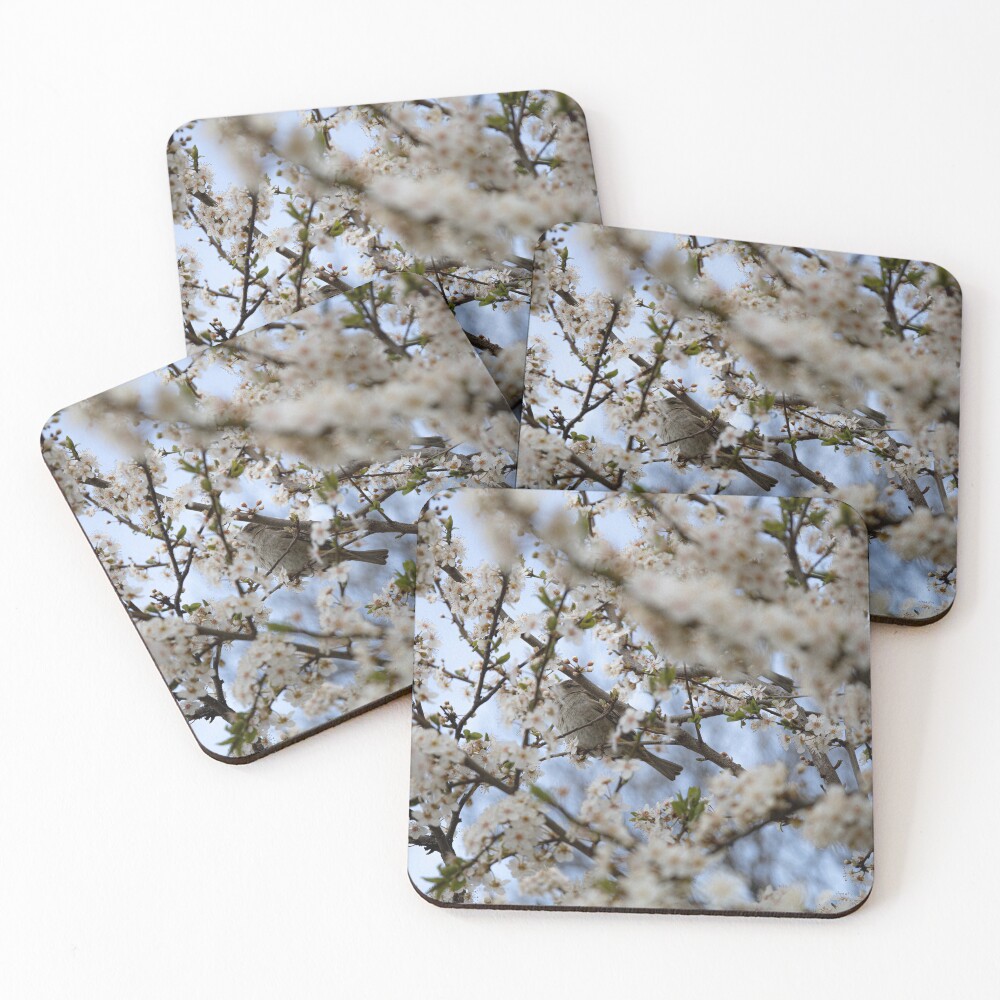 Item preview, Coasters (Set of 4) designed and sold by Srdjanfox.