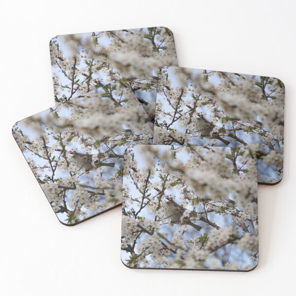 Item preview, Spring designed and sold by Srdjan Petrovic.