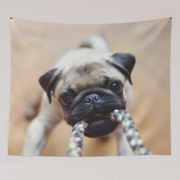 Item preview, Pug-O-War! designed and sold by IMPHives.