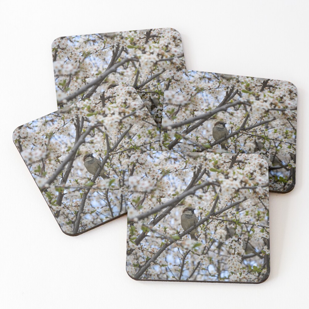 Item preview, Coasters (Set of 4) designed and sold by Srdjanfox.