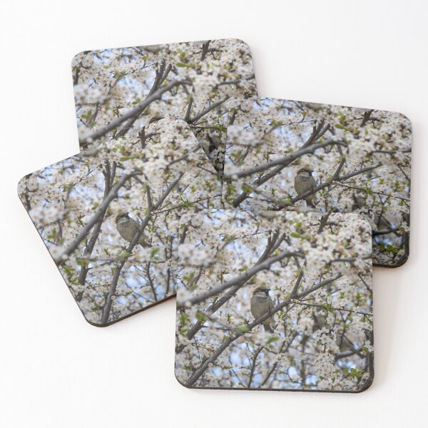 Item preview, Spring designed and sold by Srdjan Petrovic.