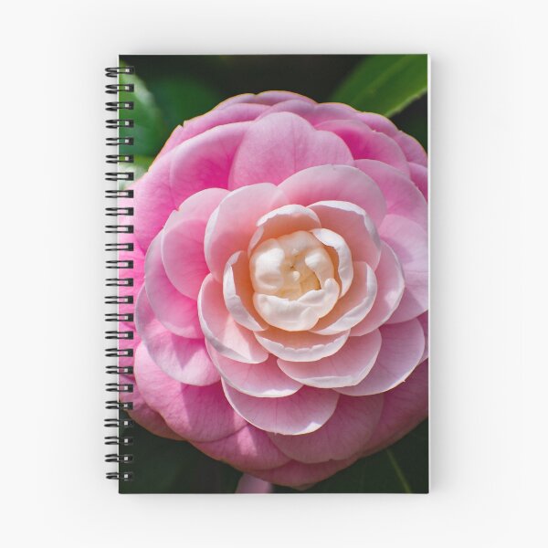 Item preview, Flor rosa con hojas verdes al sol. designed and sold by Zs Photo.