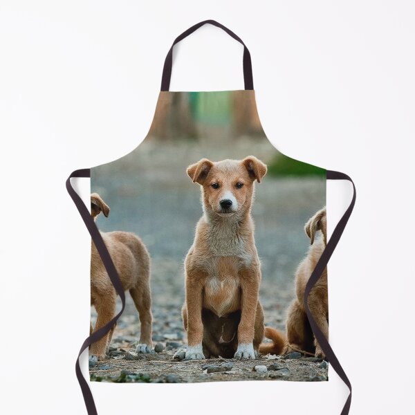 Item preview, Young pack designed and sold by IMPHives.