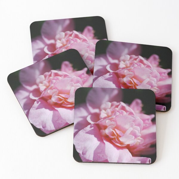 Item preview, Camellia Debbie Pink Flower designed and sold by Joy Watson - Natural Light Photography .