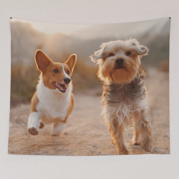 Item preview, Best Buddies designed and sold by IMPHives.