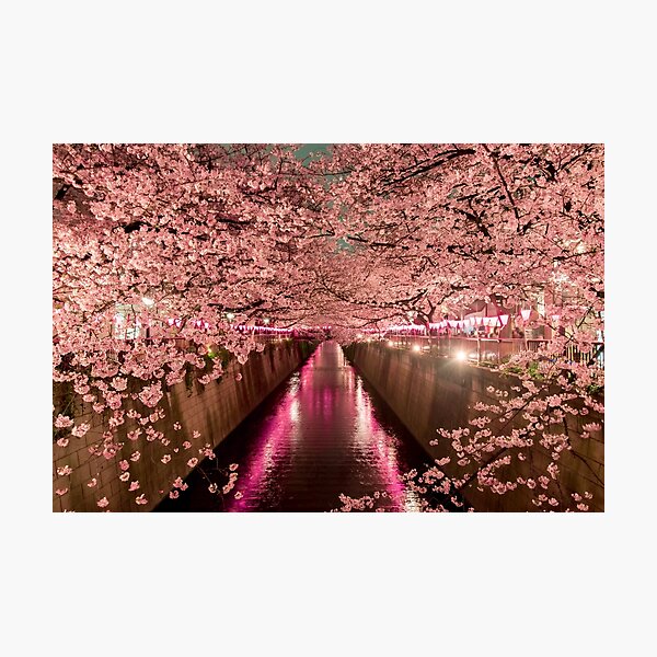 Item preview, Spring Cherry Blossoms in the Evening Tokyo designed and sold by Maddie4Real.