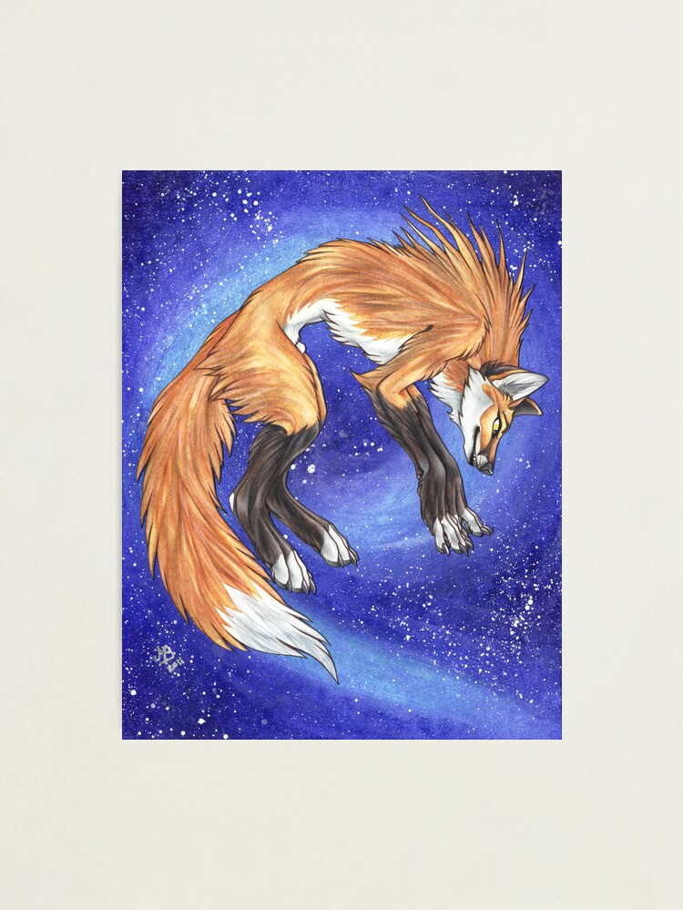Alternate view of Nightfox Photographic Print