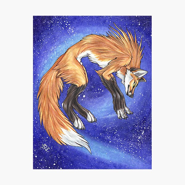 Nightfox Photographic Print
