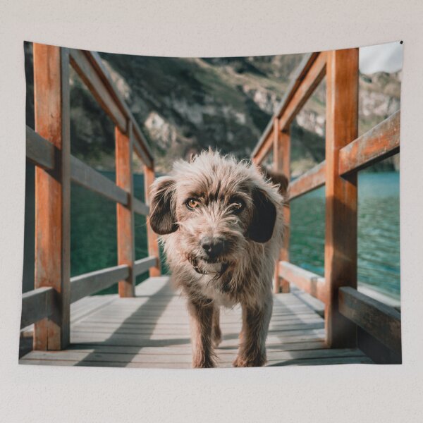 Item preview, Gorgeous dog by the sea with beautiful eyes designed and sold by IMPHives.