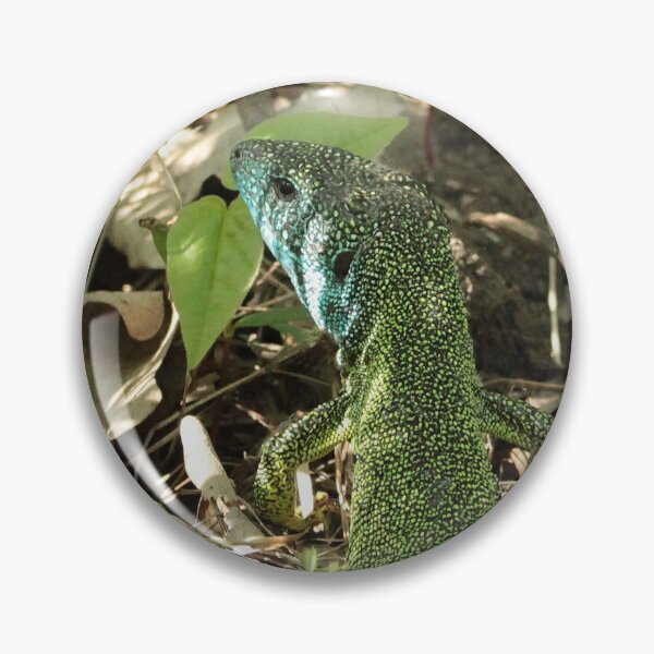 Item preview, Green lizard designed and sold by NW-Photo-Art.