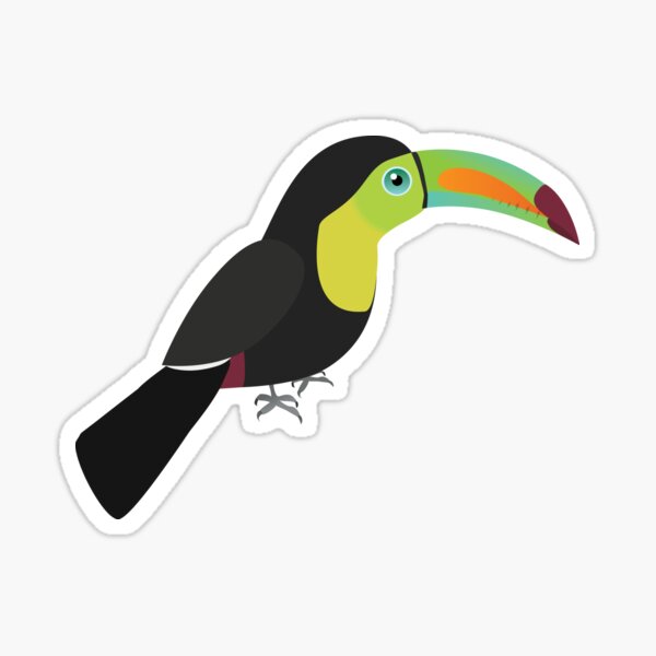 Keel billed toucan Sticker