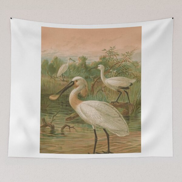 Item preview, Three Spoonbills Wading  By The Marsh designed and sold by laguitan10.