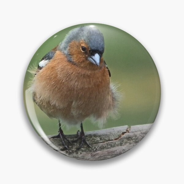 Item preview, Chaffinch designed and sold by Yampimon.