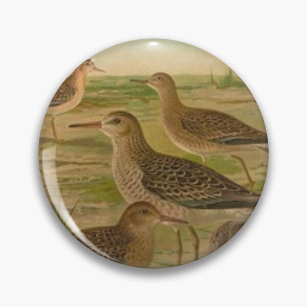 Item preview, Five Sparrows By The Beach designed and sold by laguitan10.
