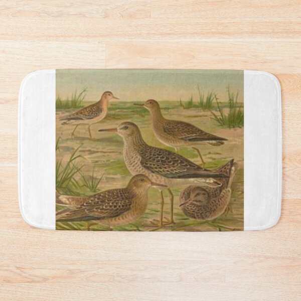 Item preview, Five Sparrows By The Beach designed and sold by laguitan10.