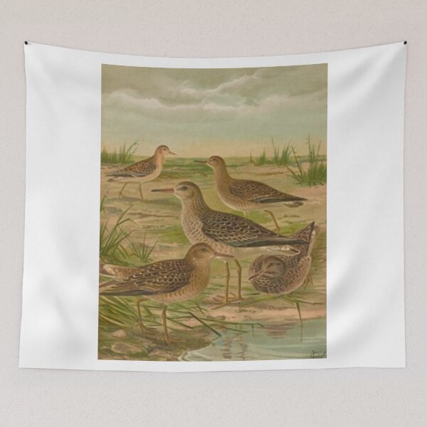 Item preview, Five Sparrows By The Beach designed and sold by laguitan10.