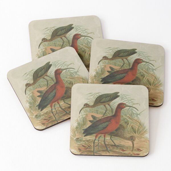 Item preview, Three Anteaters by the Beach designed and sold by laguitan10.