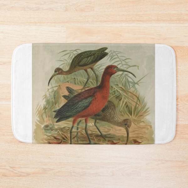 Item preview, Three Anteaters by the Beach designed and sold by laguitan10.