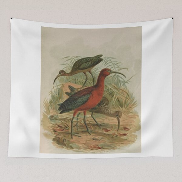 Item preview, Three Anteaters by the Beach designed and sold by laguitan10.