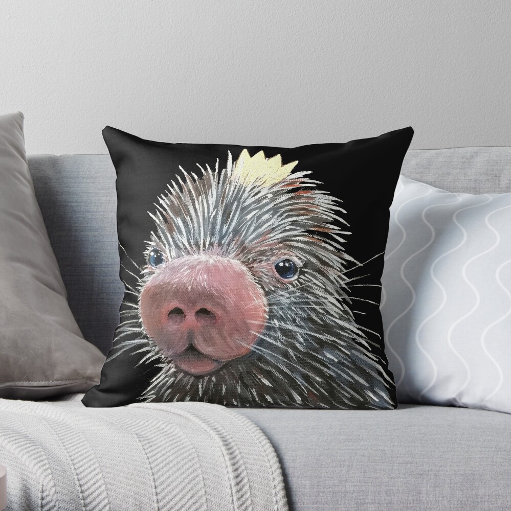 https://ih1.redbubble.net/image.2266418941.0633/throwpillow,small,1000x-bg,f8f8f8-c,0,200,1000,1000.jpg