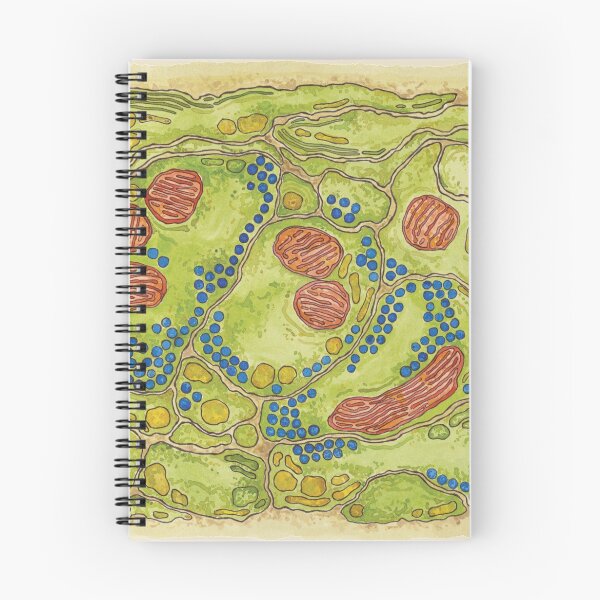 Item preview, Neuronal Synapses Micrograph designed and sold by Heatherbondi.