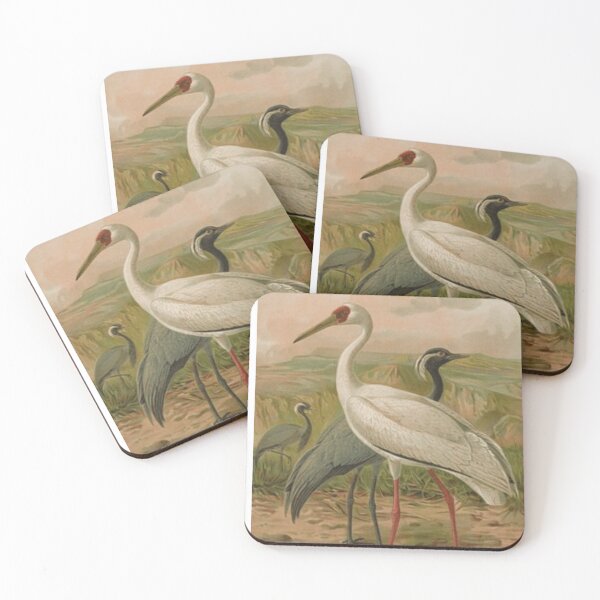 Item preview, A White Crane And Two Black Ones designed and sold by laguitan10.
