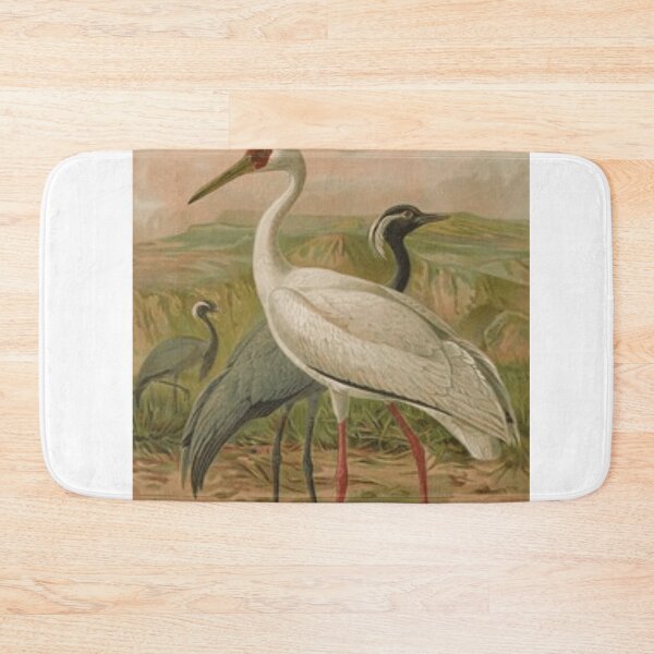 Item preview, A White Crane And Two Black Ones designed and sold by laguitan10.