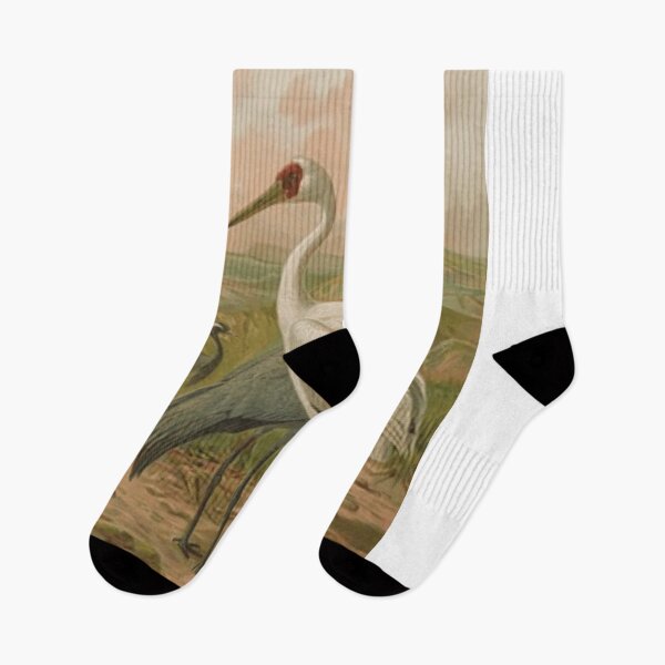 Item preview, A White Crane And Two Black Ones designed and sold by laguitan10.
