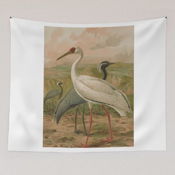 Item preview, A White Crane And Two Black Ones designed and sold by laguitan10.