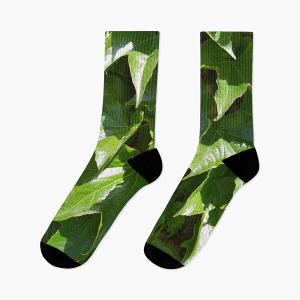 Item preview, Leaves of wild grapes poured with sunshine on a bright summer day, natural background designed and sold by helenkaiy.