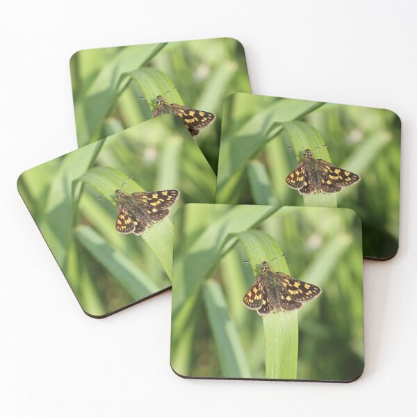 Item preview, Yellow-headed thick-headed butterfly designed and sold by NW-Photo-Art.