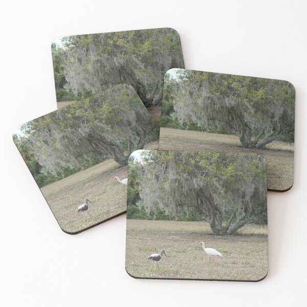 Item preview, florida idyll designed and sold by distracted.