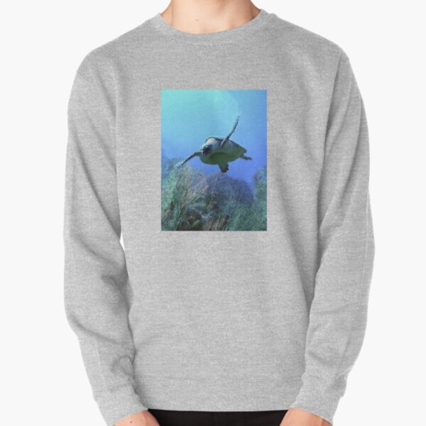 Turtle Pullover Sweatshirt