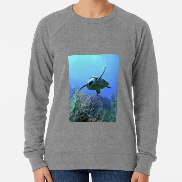 Turtle Lightweight Sweatshirt