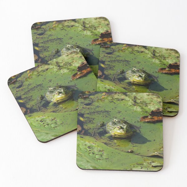 Item preview, Pond frog designed and sold by NW-Photo-Art.