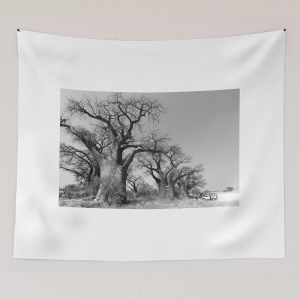 Item preview, Boabab trees in Botswana designed and sold by M De Freitas.