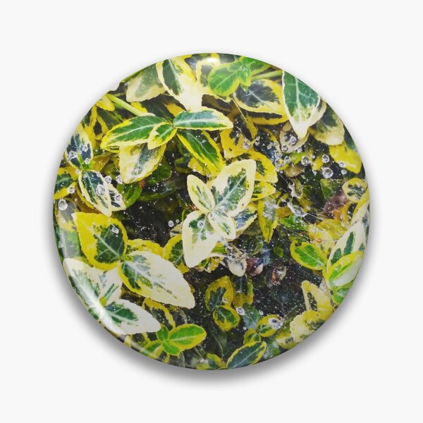 Item preview, A plant covered with drops after the rain hanging down on the spider's web, natural background  designed and sold by helenkaiy.