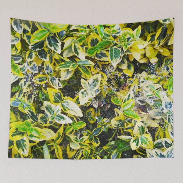 Item preview, A plant covered with drops after the rain hanging down on the spider's web, natural background  designed and sold by helenkaiy.