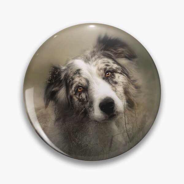Item preview, Border Collie in the grass designed and sold by Carrie Southerton Dog Photography.