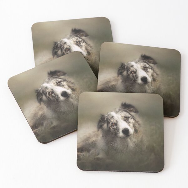 Item preview, Border Collie in the grass designed and sold by Carrie Southerton Dog Photography.