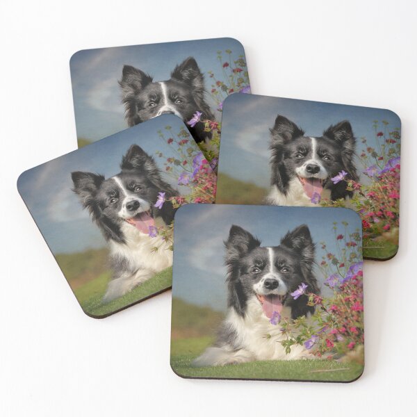Item preview, Border Collie designed and sold by Carrie Southerton Dog Photography.