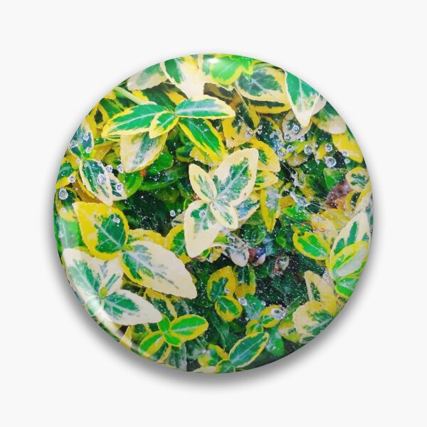 Item preview, A plant covered with drops after the rain hanging down on the spider's web, natural background  designed and sold by helenkaiy.