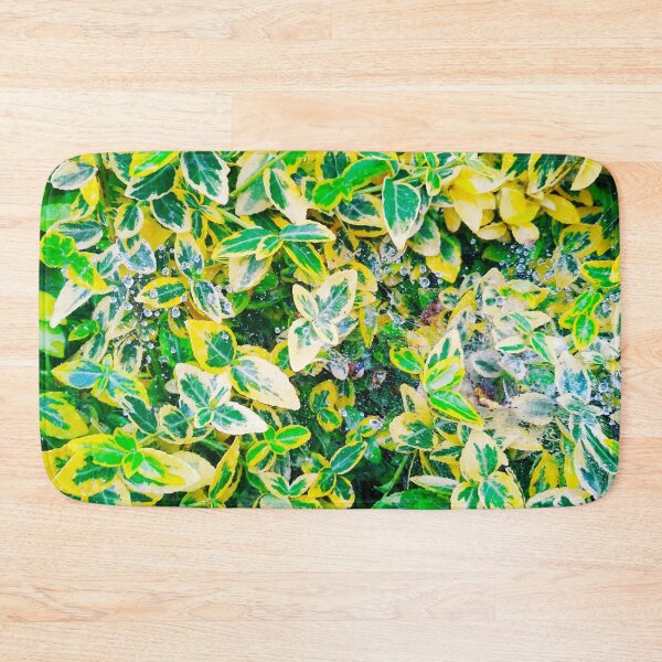 Item preview, A plant covered with drops after the rain hanging down on the spider's web, natural background  designed and sold by helenkaiy.