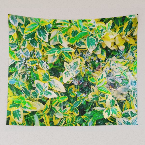 Item preview, A plant covered with drops after the rain hanging down on the spider's web, natural background  designed and sold by helenkaiy.