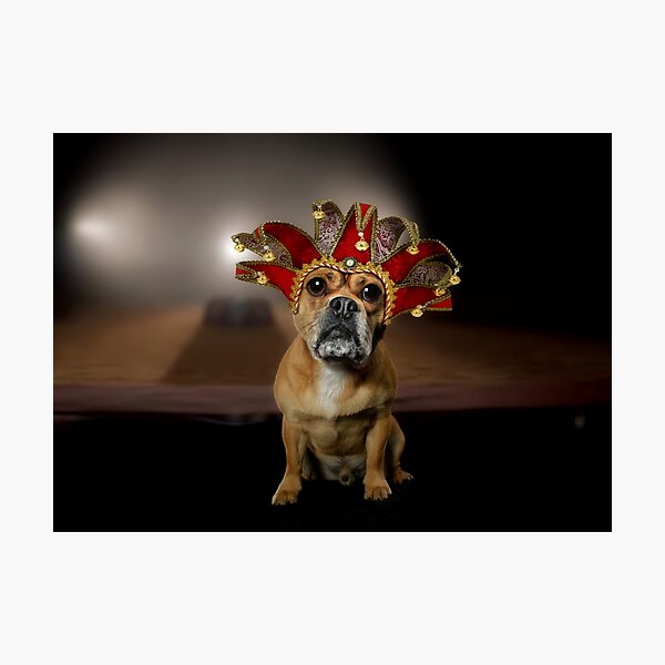 Item preview, Be a Clown Puggle designed and sold by Carrie Southerton Dog Photography.