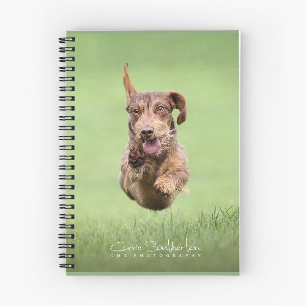 Item preview, Flying Dachshund designed and sold by Carrie Southerton Dog Photography.