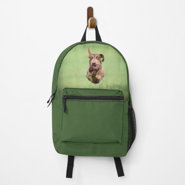 Item preview, Flying Dachshund designed and sold by Carrie Southerton Dog Photography.