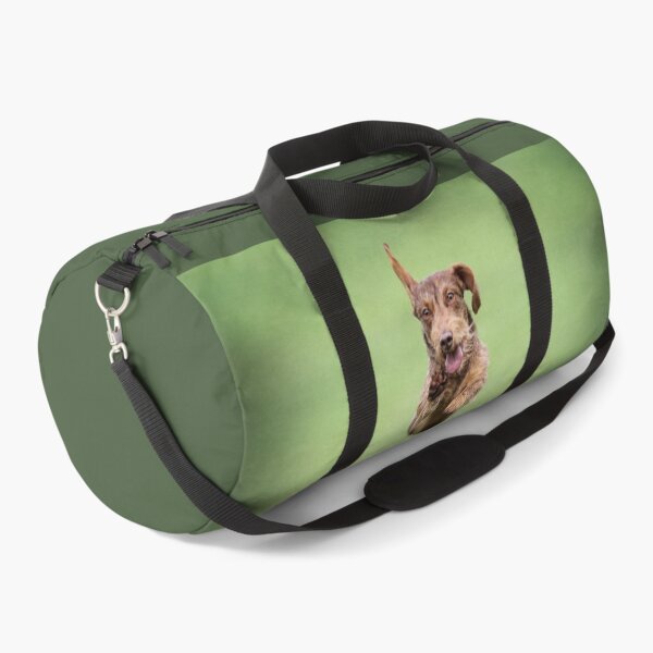 Item preview, Flying Dachshund designed and sold by Carrie Southerton Dog Photography.